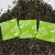 贝傅特 茶叶专用保鲜剂小包防潮防霉干燥剂除氧吸氧食品脱氧剂 3克茶叶保鲜剂150包/份