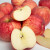 洛川苹果陕西时令水果红富士苹果礼盒装生鲜苹果脆甜 12枚75mm甄选果 礼盒装