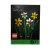 乐高（LEGO)积木限定商品40646水仙花拼插积木玩具礼物