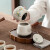 苏氏陶瓷（SUSHI CERAMICS）手柄泡茶壶功夫茶具套装草木灰茶叶罐-茶具带礼盒
