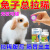 小宠兔子益生菌拉稀专用改善软便绿便肠炎腹泻消化不良饲料兔子拉肚子 一盒装