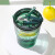 乐唯诗（NERVISHI） 墨绿竖纹玻璃吸管杯 果汁牛奶冰咖啡水杯 竹节吸管杯【有盖吸管】