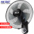 先科（SAST）风扇/壁扇/电风扇/宿舍餐厅电风扇/大风力/壁挂式电风扇FB-308 