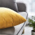 皮尔卡丹（pierrecardin） 抱枕靠垫 纯色可拆洗抱枕沙发办公靠垫办公室靠枕 米黄 45*45cm