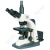 BM彼爱姆三目高级生物显微镜BM-SG10研究型生物显微镜 六孔 目镜10、16倍 物镜 4、10、20、40、100倍(oil)