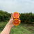 京鲜生 眉州金瑞橙 4.5-5斤装 果径65-70mm 新鲜水果 源头直发包邮