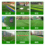 仿真草坪地毯幼儿园人造假草皮装饰阳台户外绿色围挡人工塑料绿植定做 新款LD不掉渣-1厘米加密翠绿