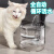 NPET猫咪饮水机流动水插电宠物饮水器自动循环猫水盆猫喝水神器喂水 基础版【三种模式】无充电头