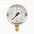 威卡EN837-1 德国压力表 不锈钢耐震213.53真空表气压 油压表 02.5bar/00.25MPa