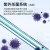 一恒上海电热恒温培养箱DHP/BPH系列精密微生物细霉菌种子培养箱 DHP-9602（立式）