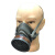 海安特HAT防毒面具滤毒罐呼吸防护过滤式防毒面具 双头（配综合罐） 