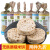 甘齿记（rice up）保加利亚进口糙米饼干 杂粮粗粮健身代餐饼干 健康休闲零食品 什锦谷物糙米饼120g