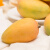京鲜生 海南小台农芒果 1kg装 单果50g以上 新鲜水果