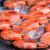 鲜京采 北极甜虾1.5kg/盒  90/120规格 MSC认证