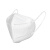 冠桦 N95口罩 独立包装折叠耳带式防飞沫防尘防护口鼻罩Y-6606 20只 