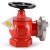 沱雨（TUOYU) 国标消火栓头SNJ65型 2.5寸65mm消防阀门 室内减压稳压消火栓