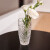 BOHEMIA捷克进口水晶玻璃花瓶透明插花欧式现代桌面居家小号摆件办公室 尼克插花摆件