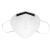 霍尼韦尔（Honeywell）口罩KN95 H910Plus防工业粉尘 50只/盒 防雾霾环保装口罩 耳挂10只袋装