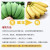 鹿唛广西香蕉小米蕉新鲜现发采摘水果小芭蕉热带水果 4.3-4.5斤【香甜软糯】