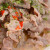 湘村黑猪 国产供港黑猪梅花肉500g 冷冻猪梅肉猪梅条肉 火锅涮肉食材 黑猪肉生鲜