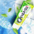 花王（KAO）进口牙膏含颗粒120g 固齿护牙龈清洁口腔清新口气 天然薄荷