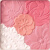井田(CANMAKE)  花瓣雕刻五色腮红 6.3g 暖杏粉红色01  防水持久 日本原装