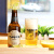 泰谷（TAGUS）泰谷啤酒250ml×24西班牙 瓶装进口啤酒