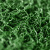 3M 朗美6050+标准型有底地垫（浅绿色1.2m*24m） 防滑防霉环保阻燃除尘圈丝地垫 可定制尺寸异形图案LOGO