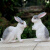 悦吉祥 仿真动物小白兔子摆件景观公园树脂雕塑工艺品花园林庭院户外装饰品 HY496灰白色一套