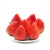大凉山草莓 新鲜草莓 果奶油蛋糕 烘焙草莓 3斤带箱