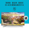 索尼（SONY）KD-55X8566F 55英寸 4K超高清 智能网络液晶平板电视 腾讯视频内容（黑色）