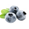 智利 进口精选蓝莓2盒装 约125g/盒 新鲜水果