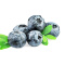 智利 进口精选蓝莓2盒装 约125g/盒 新鲜水果
