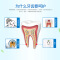 韩婵清新口气牙膏冰凉薄荷牙齿洁净去除异味牙膏护齿龈口腔护理