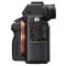 索尼（SONY） ILCE-7RM2全画幅微单相机单机身(约4240万有效像素 4K视频 5轴防抖 wifi直连 α7RM2/a7RM2 )