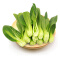 绿鲜知 上海青 小油菜 小青菜 约400g 火锅食材 新鲜蔬菜