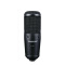 得胜（TAKSTAR） GL-200电容录音话筒 配音录音麦克风 配音话筒 大合唱话筒 网络K歌 黑色