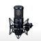 得胜（TAKSTAR） GL-400 专业录音配音话筒 大合唱话筒专业舞台乐器录音棚话筒合唱麦克风 黑色