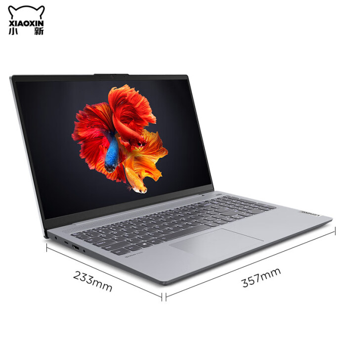 Lenovo 联想 小新15 2020 锐龙版 15.6英寸笔记本电脑（R5-4600U/16GB/512GB/100%sRGB）￥3999（需定金200）