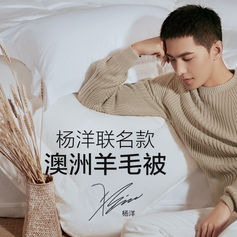 水星家纺 澳洲进口羊毛混合 抗菌被芯 220*240cm 双重优惠折后￥164秒杀