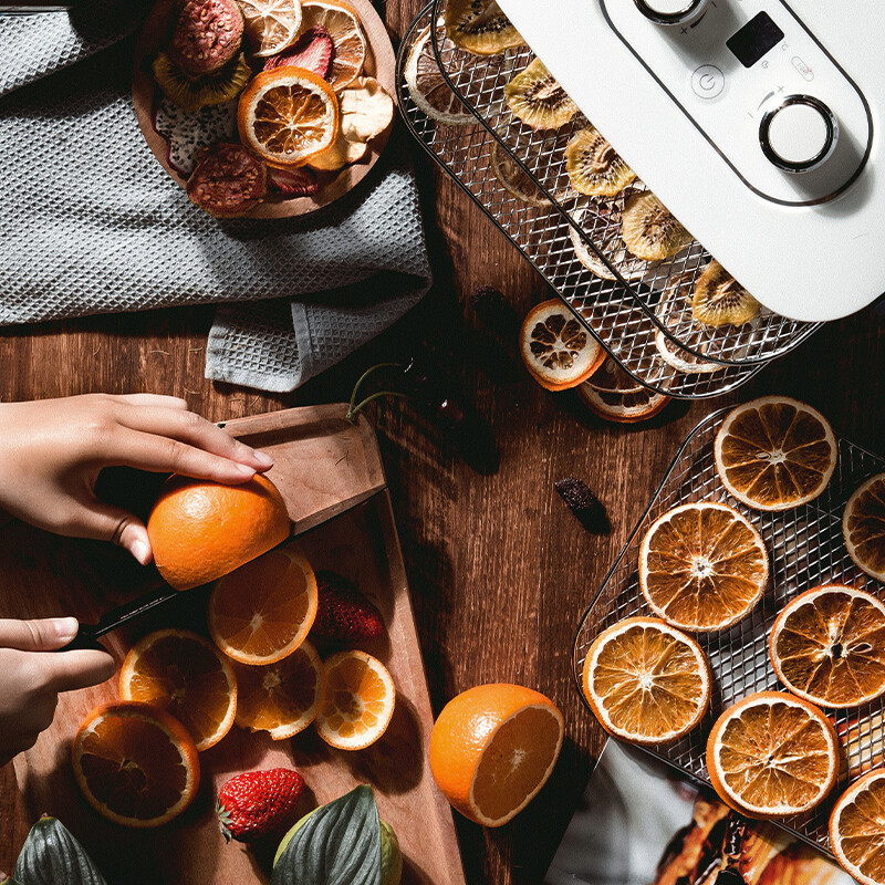 MORPHY RICHARDS 英国摩飞 家用干果机 MR6255 水果蔬菜烘干机 天猫优惠券折后￥279包邮（￥399-120） 京东￥369