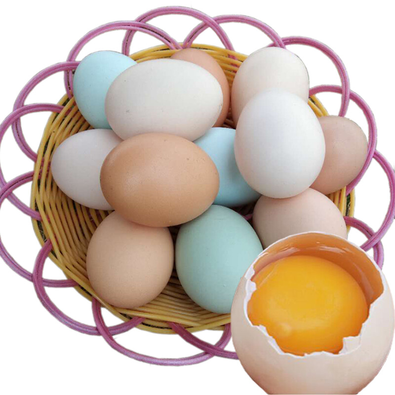 上一年福建省禽蛋产值达762万吨-新华网