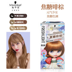 施华蔻(Schwarzkopf)斐丝丽泡泡染发乳9-6/9号焦糖啡棕(染发剂染发膏泡沫摩丝 流行色彩染 上色快 男士女士)