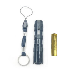路捷达（Lugerda X） 5LED手电便携袖珍迷你防水户外照明小手电筒 黑色+1节5号电池