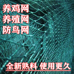 蓝桂圆（languiyuan）  养鸡网菜园网鸡网养殖网围栏网家禽网围鸡网防鸡网 1.5米高10米长养鸡网