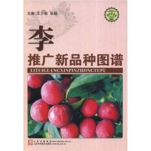 书籍图片