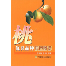 书籍图片