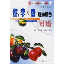 书籍图片
