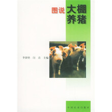 书籍图片