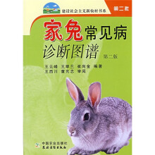 书籍图片